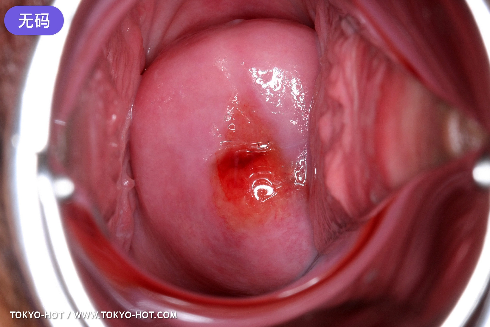 xxxx性公交列车xxxxⅹ-清晰版视频网址大全